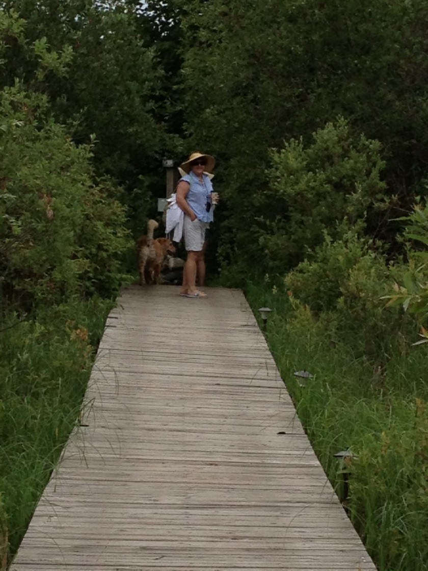 Julie Saffrin on the way to the pontoon | www.juliesaffrin.com