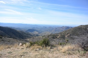 Top of Montana Mountain. Tucson's Mt. Lemon is in the far distance | https://juliesaffrin.com