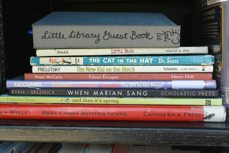 little-library-guest-book