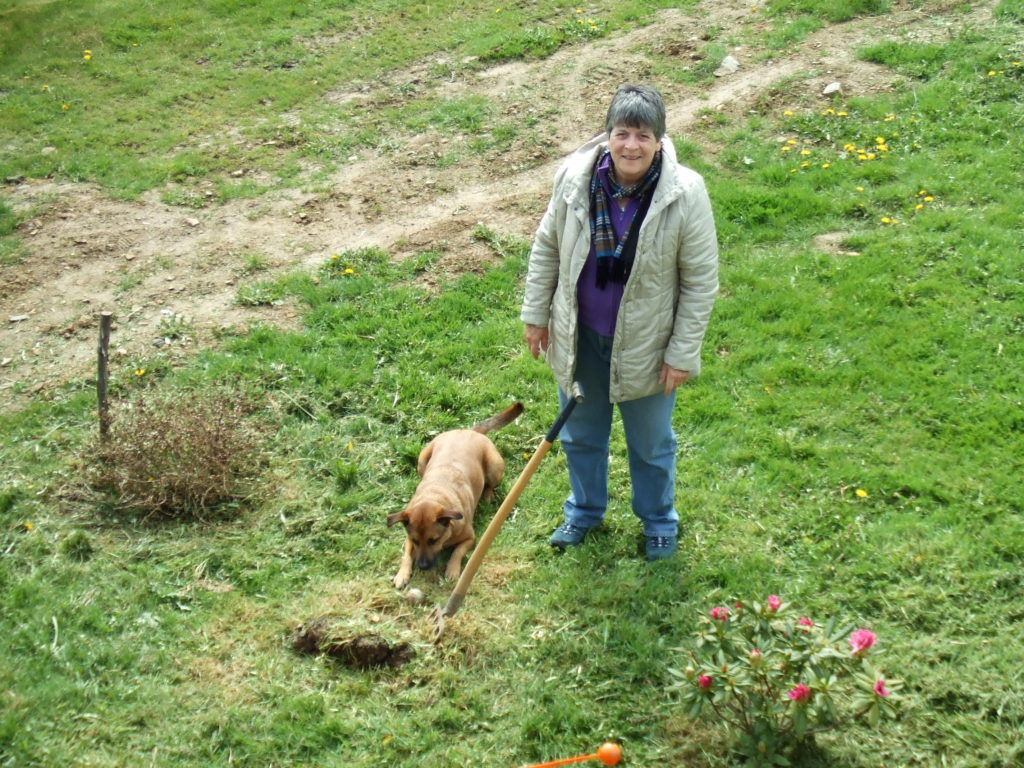 Sue and her dog, Rosie