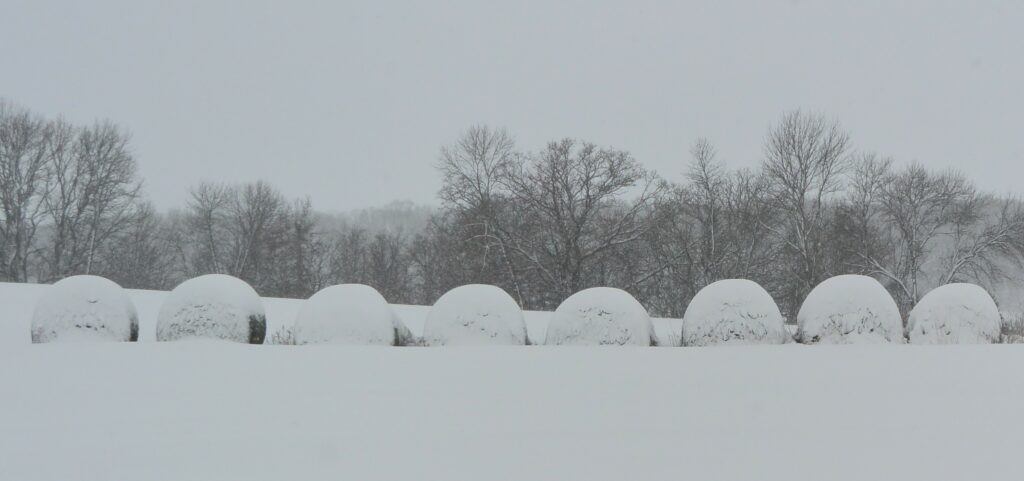 Hay bales settled in for a long winter's nap