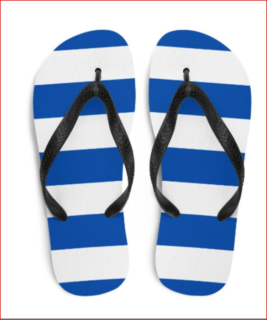 Blue and White Sandals Overview shot